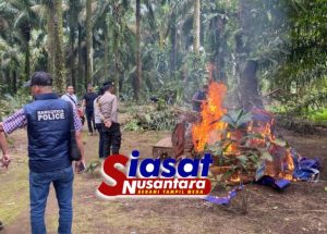 Barak Narkoba di Sei Bingai Diratakan Polres Binjai, Satu Orang Berinisial NG Diamankan