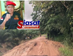 Ketua DPC GRIB Jaya: Warga Bandar Jaya Keluhkan Kondisi Jalan Rusak Parah