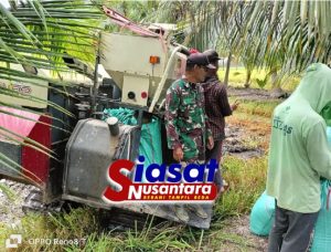 Tingkatkan Ketahanan Pangan Nasional, Babinsa Koramil 401-04/Byl Terjun Kesawah Bersama Petani