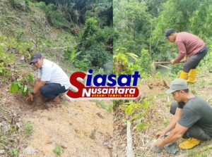 Cepat Tangga PTPN IV Regional II  Dolok Sinumbah Lakukan Penanaman Kembali Akibat Penebangan Liar, Ini Penjelasan Manajemen
