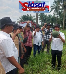 DPR RI Komisi XIII Hadiri Panen Raya Semangka di Deli Serdang
