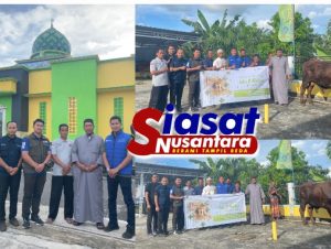 PT Angkasa Pura Indonesia Kantor Cabang Bandara H.AS. Hanandjoeddin Salurkan Hewan Qurban 2025