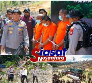 Tindak Tegas Perusakan dan Perambahan Kawasan Hutan Secara Ilegal, Polda Riau berhasil Amankan Empat Orang Tersangka
