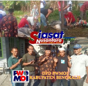 Kembali Diberikan Kepercayaan dari Pemerintah Daerah, DPD PWMOI Bengkalis Sembelih Sapi Qurban di Hari Raya Idul Adha 1446 H