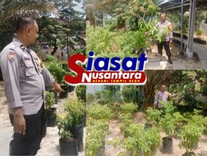 Dukung Program Ketahanan Pangan Pemerintah, Bhabinkamtibmas Polsek Binawidya Laksanakan Pendataan dan Sosialisasi Lahan Pekarangan