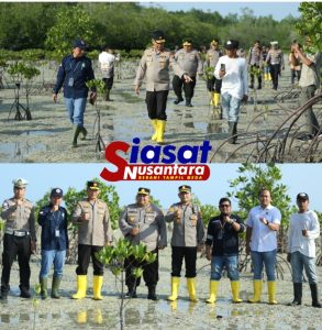 Peringati Hari Bhayangkara ke-79, Polres Belitung Tanam 300 Bibit Mangrove di Desa Wisata Terong