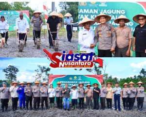Polres Belitung Dukung Swasembada Pangan Nasional Dengan Penanaman Jagung Serentak di Lahan Perhutanan Sosial