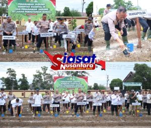 Dukung Swasembada Pangan, Polda Babel Gelar Penanaman Jagung Serentak Kuartal III
