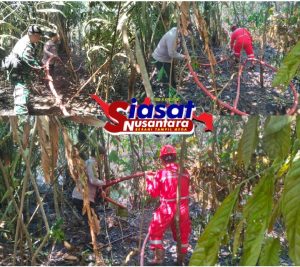 Polresta Pekanbaru Bersama Warga dan PT PHR Padamkan Kebakaran Lahan di Areal Gedung Pramuka Lembah Sari