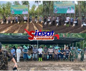 Dukung dan Sukseskan program Pemerintah Dalam Bidang Ketahanan Pangan, Dandim 1301/Sangihe Bersama Forkopimda Tanam Jagung