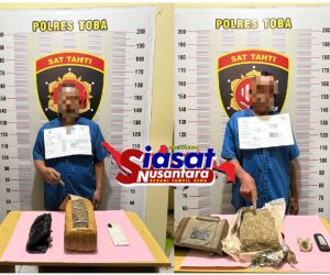 Satresnarkoba Polres Toba Berhasil Tangkap 2 Pengedar Ganja di Balige dan Kota Pematang Siantar