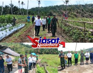 Dukung Program Pemerintah Dalam Ketahanan Pangan, Dandim 1301/Sangihe Bersama Rombongan Tinjau Lahan Pertanian