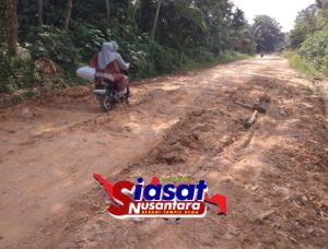 Dampak Jalan Lintas Sekayu Dawas Berlian Makmur (C2) Rusak Parah, Warga Sindir Perbaikan Gunakan Kardus dan Cangkul