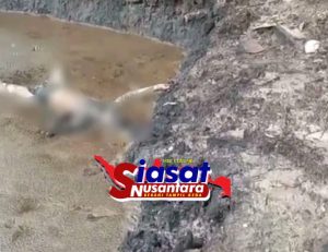 Mayat Tanpa Identitas Ditemukan di Bak Penampungan Minyak Ilegal di Muba, Diduga Korban Ledakan Sumur Bor