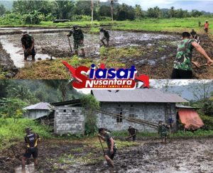 Tingkatkan Ketahanan Pangan Koramil 1301-03/Tamako dan Kelompok Tani Tambah Lahan Sawah di Balane
