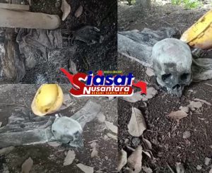 Warga Sungai Lilin Jaya Geger, Kerangka Manusia Ditemukan di Pondok Kebun Karet