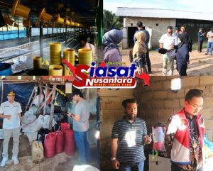 Wabup Belitung bersama Pertamina Sidak ke Peternakan Ayam, Terkait Penggunaan Gas LPG Subsidi 3 KG Sebagai Brooding