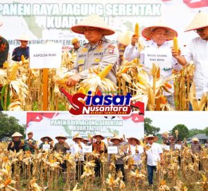 Kapolda Riau Pimpin Panen Raya Serentak Kuartal III 2025, Wujud nyata Ketahanan Pangan Nasional