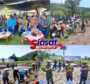 Kodim 1301/Sangihe Dukung Ketahanan Pangan Nasional, Gelar Kegiatan Penanaman Padi Sawah LTT di Kampung Balane