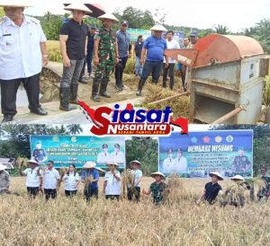 Kodim 1301/Sangihe dan Petani Laine Panen Raya Padi, Harapan Wujudkan Kemandirian Program Pekarangan Pangan Bergizi (P2B)
