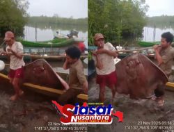 Ikan Pari 80 Kilogram Naik ke Perahu, Harapan Terakhir Nelayan Teluk Kelabat Dalam di Tengah Bayang Tambang