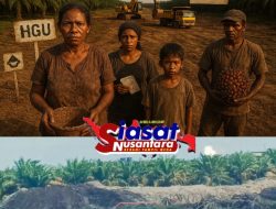 Perkebunan Salah Menafsirkan Keadilan Dituliskan Negara, Investigasi Mendalam Tata Kelola Plasma Sawit di Bangka Barat