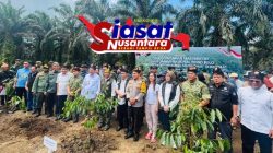 Relokasi Lahan Masyarakat Taman Nasional Tesso Nilo “Wujudkan Hutan Lestari, Masyarakat Sejahtera”