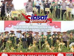 Polresta Pekanbaru Dukung Ketahanan Pangan, Gelar Panen Raya Jagung Pipil Bersama Forkopimda