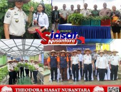 Lapas Pekanbaru Dukung Ketahanan Pangan Nasional, Ikuti Panen Raya Serentak Kemenimipas