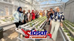 Kolaborasi Hijaukan Bapas Tanjungpandan, Rumah Hijau Hidroponik Jadi Ruang Belajar dan Pembimbingan Klien