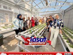 Kolaborasi Hijaukan Bapas Tanjungpandan, Rumah Hijau Hidroponik Jadi Ruang Belajar dan Pembimbingan Klien