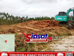Diduga Abaikan Putusan MA, Aktivitas Penebangan PT Arara Abadi Masih Berlangsung di Lahan Adat Batin Sengeri