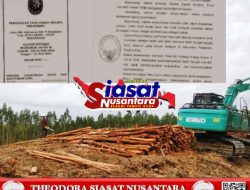 Diduga Abaikan Putusan MA, Aktivitas Penebangan PT Arara Abadi Masih Berlangsung di Lahan Adat Batin Sengeri