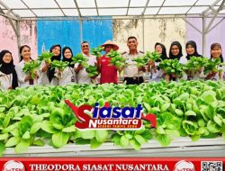 Lapas Pekanbaru Panen Sayur Pak Coy, Wujud Nyata Dukung Ketahanan Pangan Nasional dan 15 Program Aksi Kemenimipas 2026