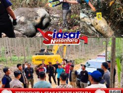 Polres Pelalawan dan Polda Riau serta Tim Gabungan Cek TKP Adanya Penemuan Gajah Mati di Areal Hutan Konsesi PT. RAPP Kecamatan Ukui