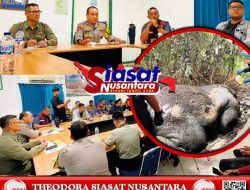 Pimpin Rapat Pengusutan Kasus Gajah Dibunuh, Kapolda: Penyelidikan Dilakukan Secara Ilmiah